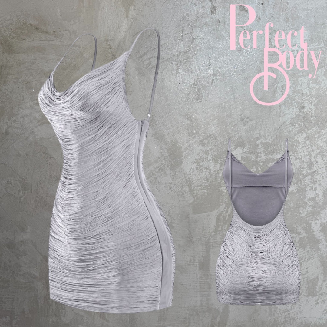 Silver Fringe Dress